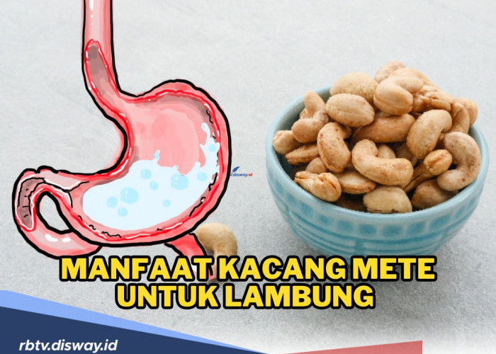 Fakta Menarik Tentang Otak: Bisa Menyembuhkan Diri Sendiri