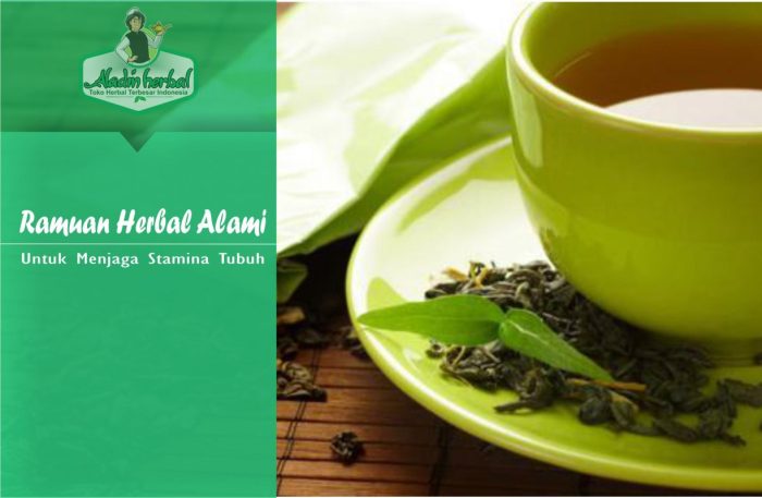 Ramuan Herbal Alami Untuk Menjaga Stamina Tubuh | Aladin Herbal Minum Herbal Alami untuk Relaksasi Tubuh