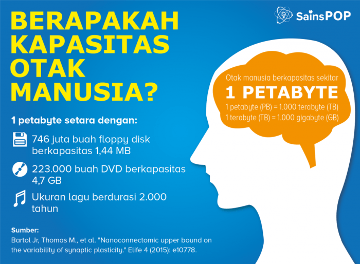 Otak Manusia Bisa Menyimpan Informasi Lebih dari 1 Juta Gigabyte