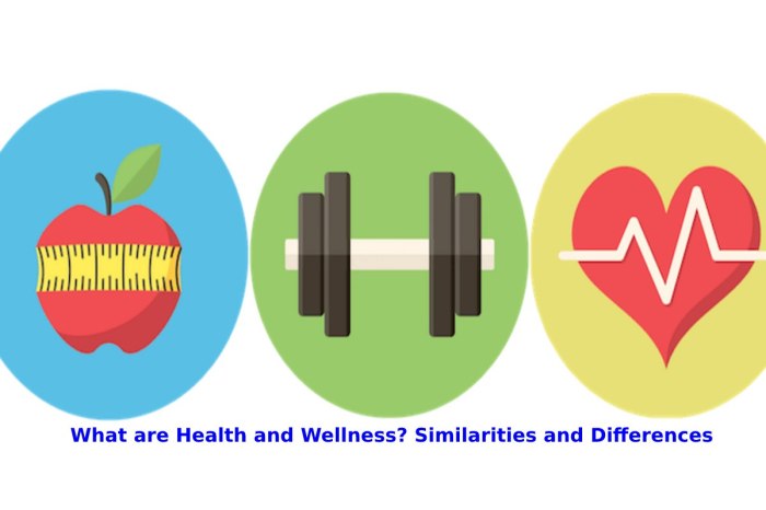 Perbedaan Wellness dan Kesehatan Biasa, Sudah Tahu?