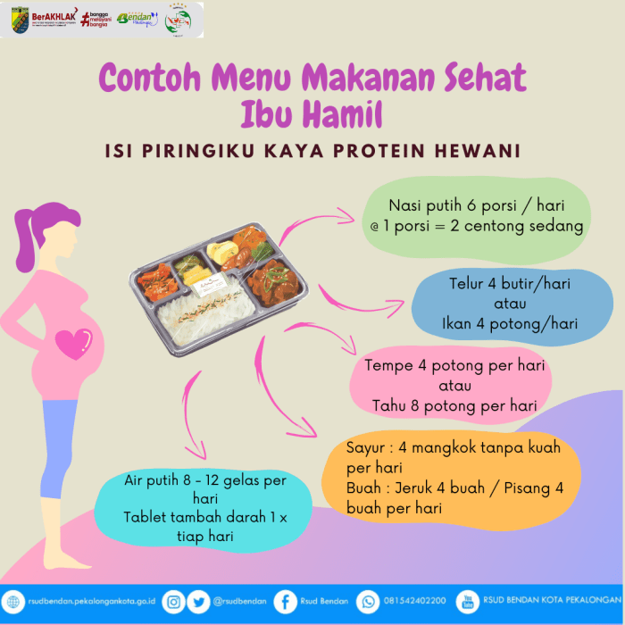 CONTOH MENU MAKANAN SEHAT IBU HAMIL - Rumah Sakit Umum Daerah Bendan ... True Story: Bangkit dari Anemia Kronis Lewat Pola Makan Sehat