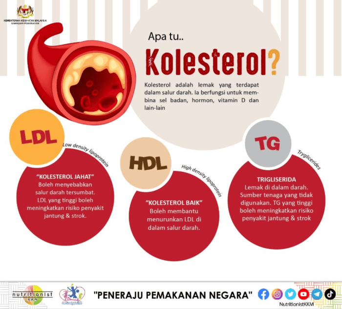 Cara Turunkan Kolesterol: Ikuti 5 Tips Berguna Ini! Cara Turunkan Kolesterol: Ikuti 5 Tips Berguna Ini!