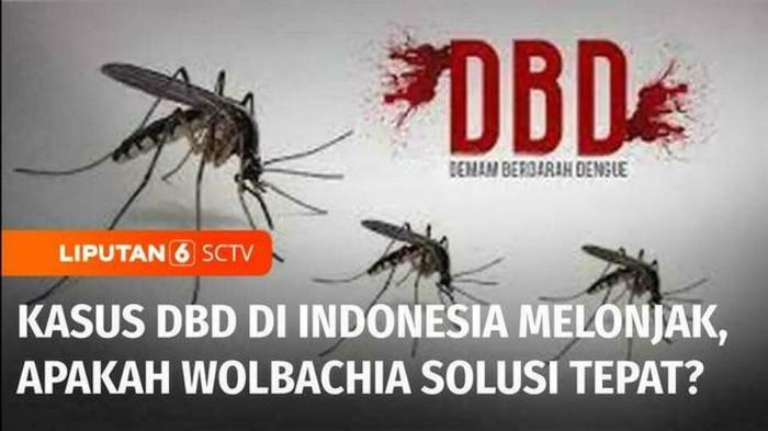 Kasus DBD Meningkat di Musim Hujan, Pemerintah Siaga