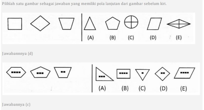 Tes Spasial dan Logika: Siapa yang Lebih Cermat?