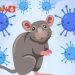 Tiga Kasus Hantavirus di Jakarta, Enam Suspek Masih Dalam Pemantauan