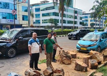 Pohon Tumbang Timpa Mobil di Kelapa Gading Terjadi Detik-detik Menegangkan