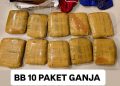 Bongkar Pengiriman Ganja Lintas Pulau oleh Bareskrim