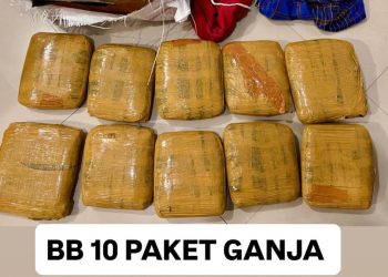 Bongkar Pengiriman Ganja Lintas Pulau oleh Bareskrim