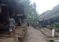 Babi Hutan dan Monyet Mengganggu Ladang Petani Badui