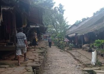 Babi Hutan dan Monyet Mengganggu Ladang Petani Badui