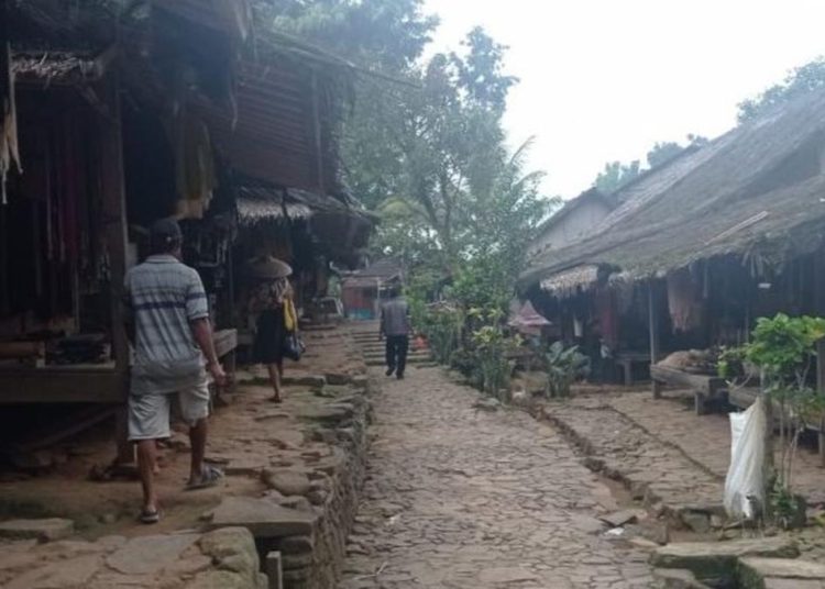 Babi Hutan dan Monyet Mengganggu Ladang Petani Badui