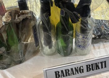 Ibu Dilempar Molotov di Koja, Pelakunya Lebih dari Satu Orang