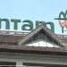 Proyek Hilirisasi Nikel dan Mobil Listrik: Keterlibatan Antam