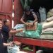 Penggerebekan Gudang Rokok Ilegal di Serang, 80 Bal Ditemukan dan Disita