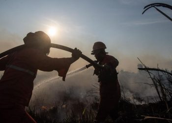Upaya Mengatasi Kebakaran Lahan di Ogan Ilir