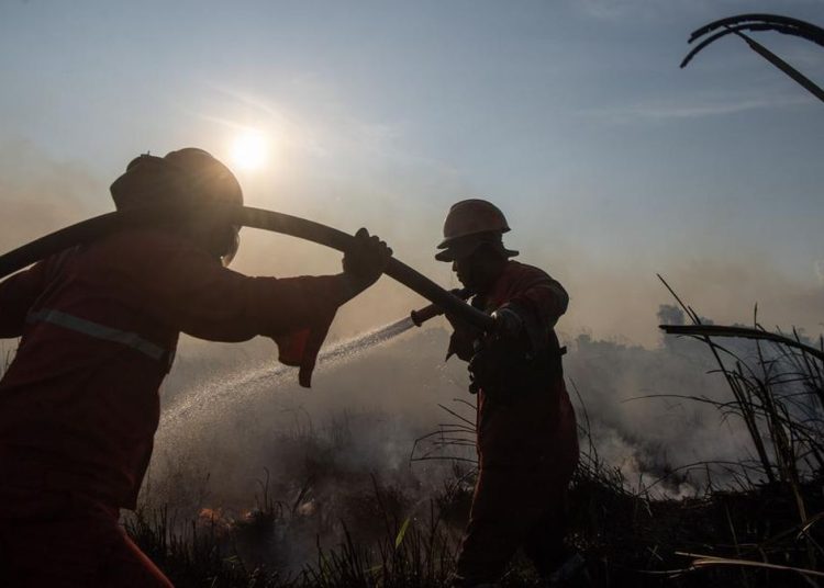 Upaya Mengatasi Kebakaran Lahan di Ogan Ilir