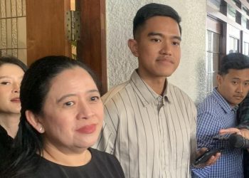 Dapil Neraka Kandang Banteng yang Diganggu Kaesang