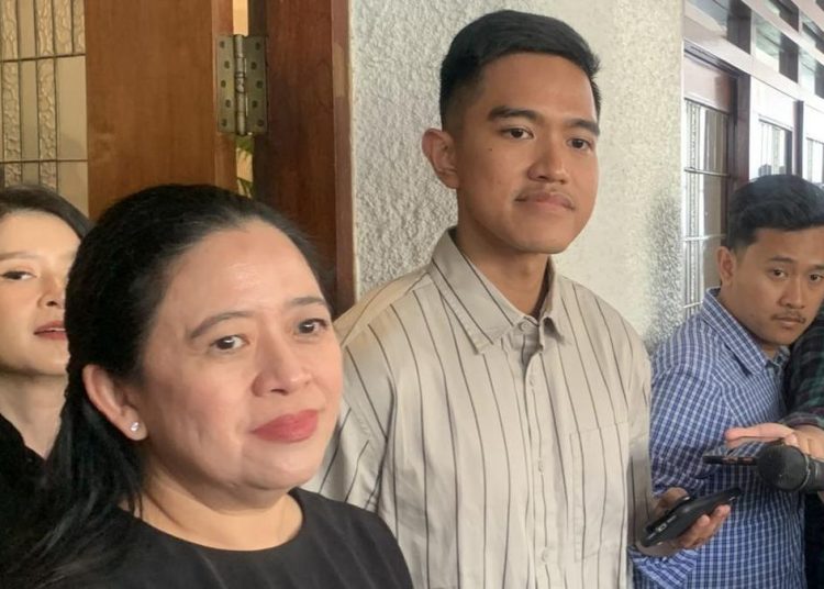 Dapil Neraka Kandang Banteng yang Diganggu Kaesang