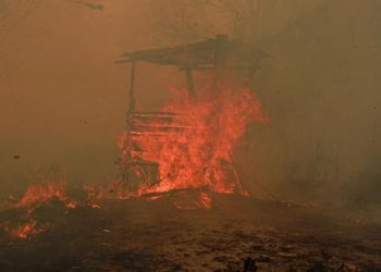 10 Fakta Karhutla Kalimantan Asap Menyeberang ke Malaysia dan Relawan Terkena Imbas