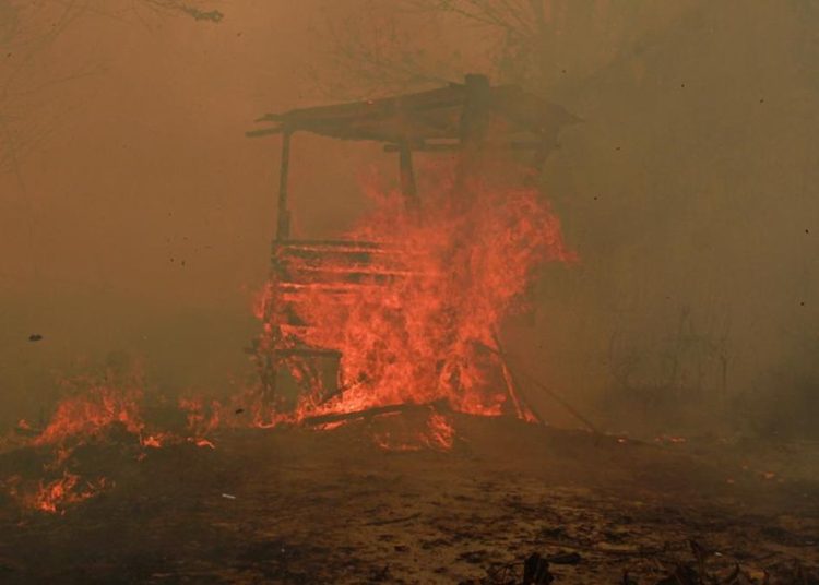 10 Fakta Karhutla Kalimantan Asap Menyeberang ke Malaysia dan Relawan Terkena Imbas