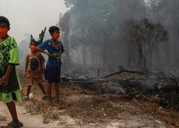 298 Kasus di Palangka Raya Akibat Penerbangan yang Dibatalkan