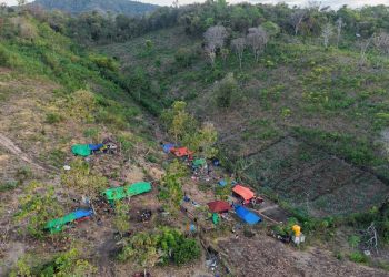 BMKG Catat 4258 Gempa Susulan di NTT Berpotensi Terjadi Hingga Empat Minggu