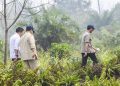 Prabowo Kunjungi Riau untuk Tinjau Penanganan Karhutla Sumatra