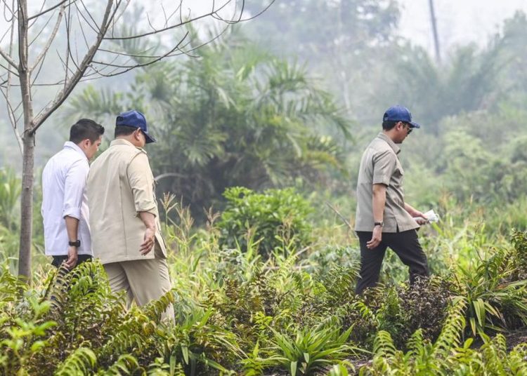 Prabowo Kunjungi Riau untuk Tinjau Penanganan Karhutla Sumatra