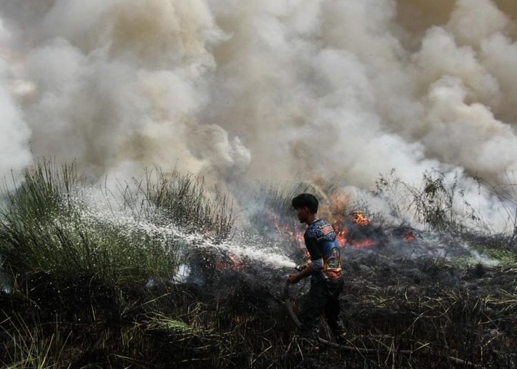 Kesaksian Aktivis tentang Cikal Karhutla yang Diduga Akibat Pembukaan Lahan
