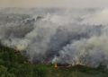 Prioritas BNPB pada Kebakaran Hutan di OKI, Terdeteksi 21 Titik Api