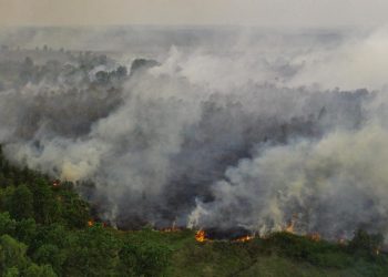 Prioritas BNPB pada Kebakaran Hutan di OKI, Terdeteksi 21 Titik Api