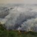 Prioritas BNPB pada Kebakaran Hutan di OKI, Terdeteksi 21 Titik Api