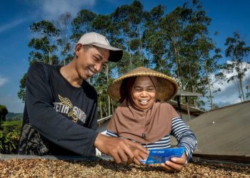 Saluran KUR Rp144,59 Triliun untuk 2,76 Juta Debitur, Sektor Produksi Dominan