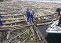 TNI AL Amankan 2 Kapal Selundupkan 8 Ribu Kayu Ilegal di Pulau Buru