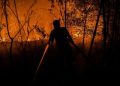 9 Relawan Meninggal Dunia Saat Berjuang Memadamkan Kebakaran Hutan dan Lahan